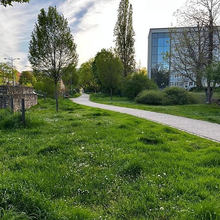 Speyerbach - Modernes Apartment Nahe Neustadter Innenstadt Neustadt an der Weinstraße Exterior foto