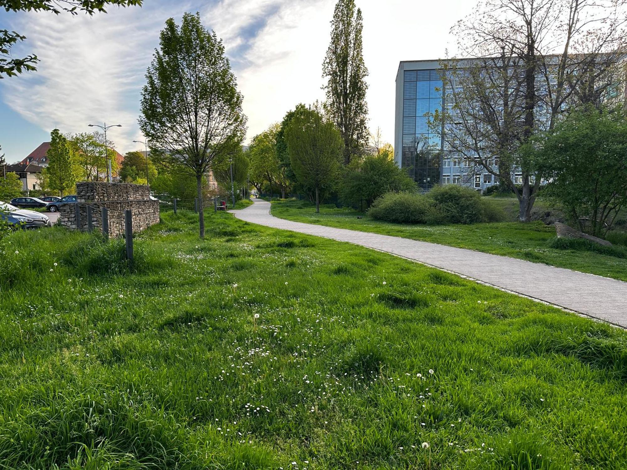 Speyerbach - Modernes Apartment Nahe Neustadter Innenstadt Neustadt an der Weinstraße Exterior foto